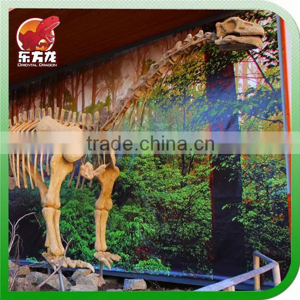 Museum Life Size Artificial Dinosaur Fossil Replica