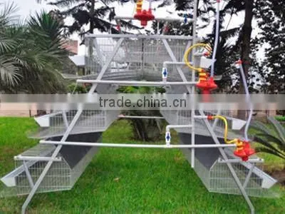 Poultry Cage/poultry Equipment