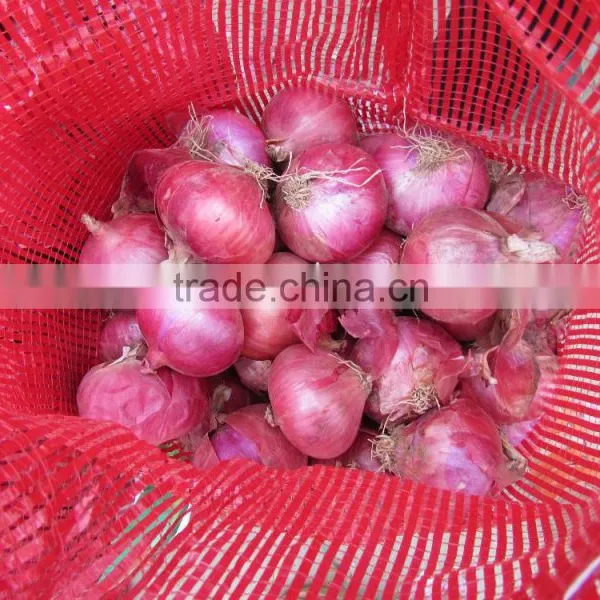 Onion Importers in Quatar/onion Importers in Malaysia/fresh Onion photo-2