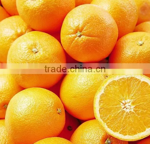 Citrus Aurantium Extract 10%-98% HPLC Nobiletin photo-3