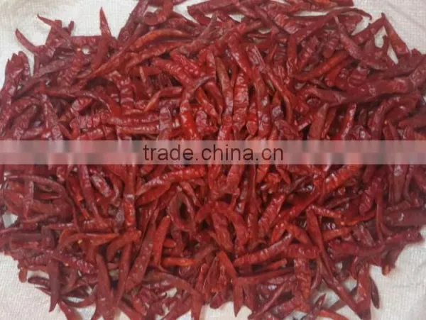 Indian Dry Red Chilli photo-5