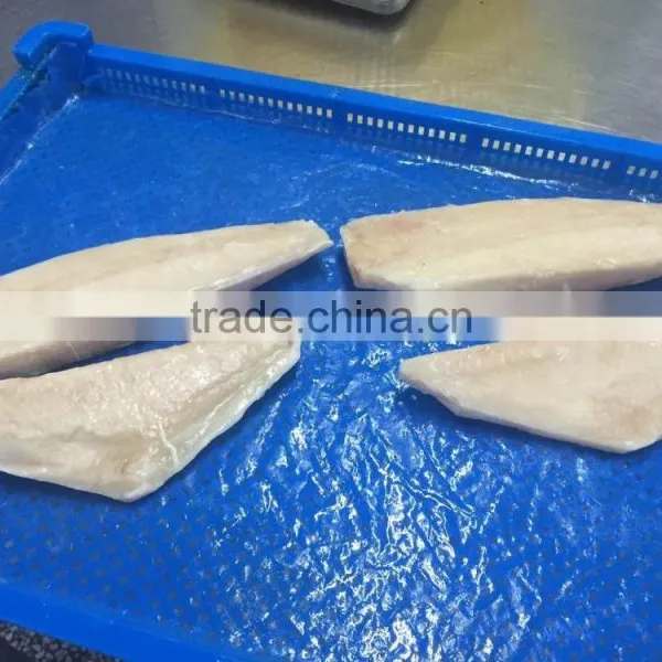 Frozen Fresh Brama Brama Fillet Boneless Skinless photo-2