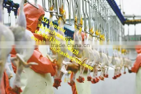 Chicken Slaughtering Machine / Chicken Pre-cooling Machine photo-3