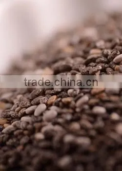 Chia Seeds Bulk