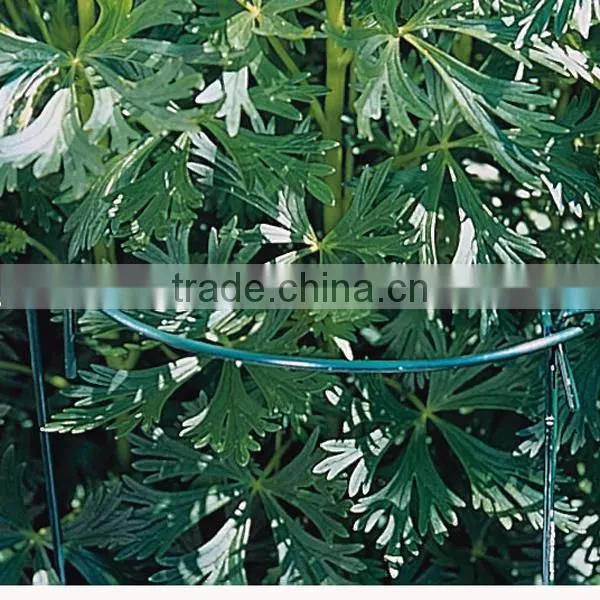 Garden Metal Wire Supports photo-3