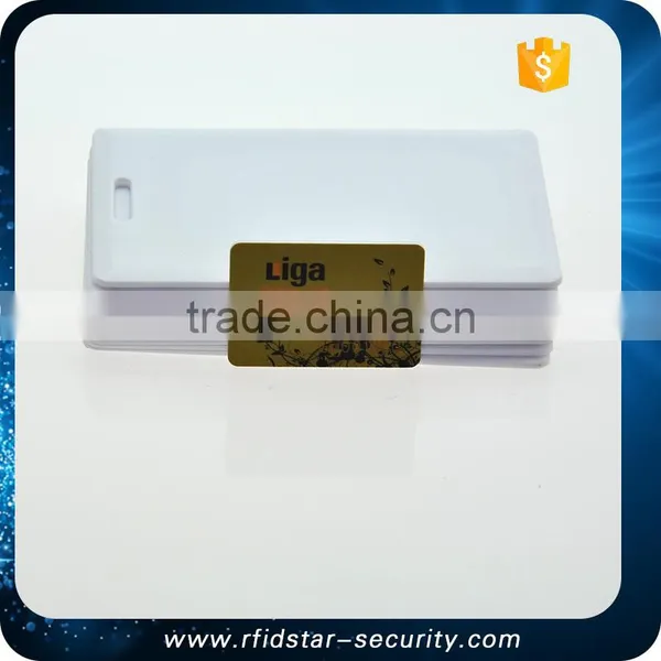 13.56MHz Proximity IC Mini Card photo-3
