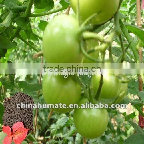Microelement Fertilizer photo-6