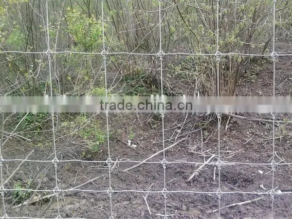 Hot-dipped Galvanized Field Fence/grassland Fence photo-3