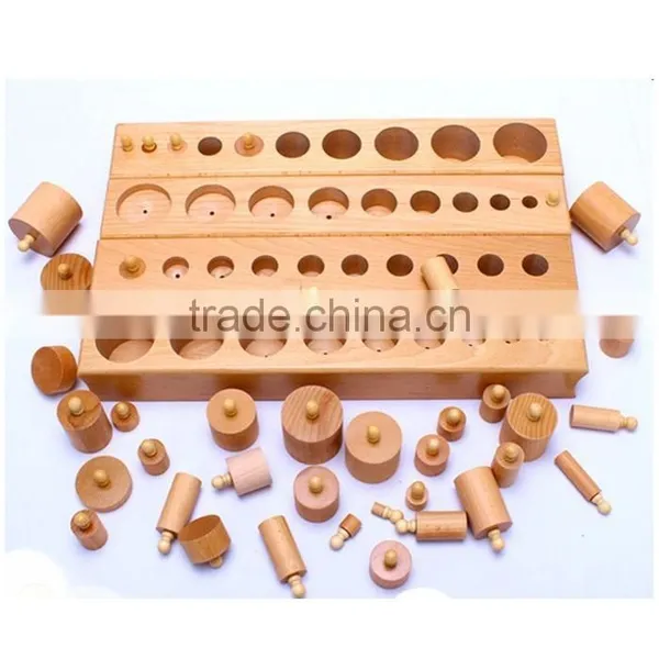 Teaching AIDS Wooden Educational Toys Montessori Cylinders Blocks photo-3