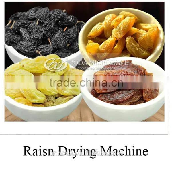 Raisin Drying Machine photo-2