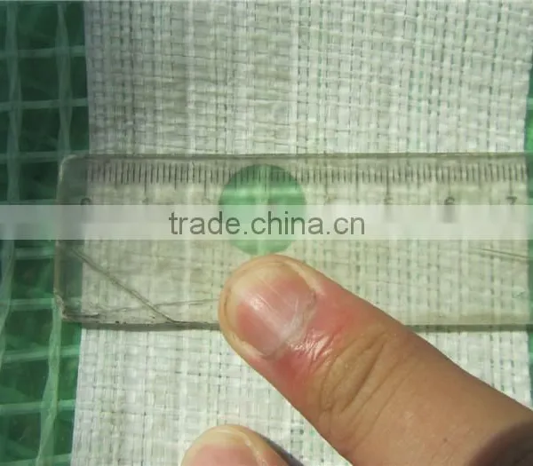 Waterproofing Greenhouse Mesh Tarpaulin, Covering Transparent pe Tarpaulin, Various Usage Greenhouse Tarpaulin photo-2