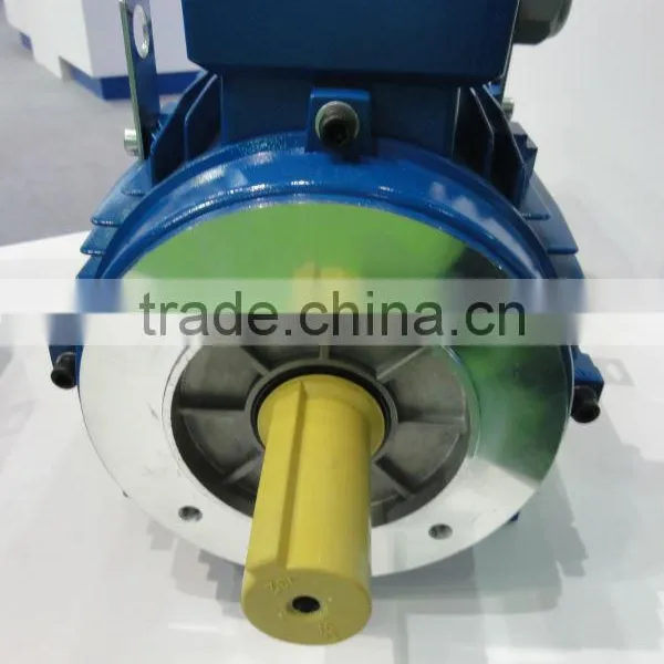 5.5KW Three Phase IE2 Electric Motor With CE photo-6
