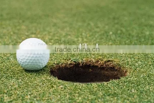 Blank White Tournament Golf Ball photo-2