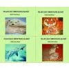 China (Mainland) Polar Fleece Throw / Blanket