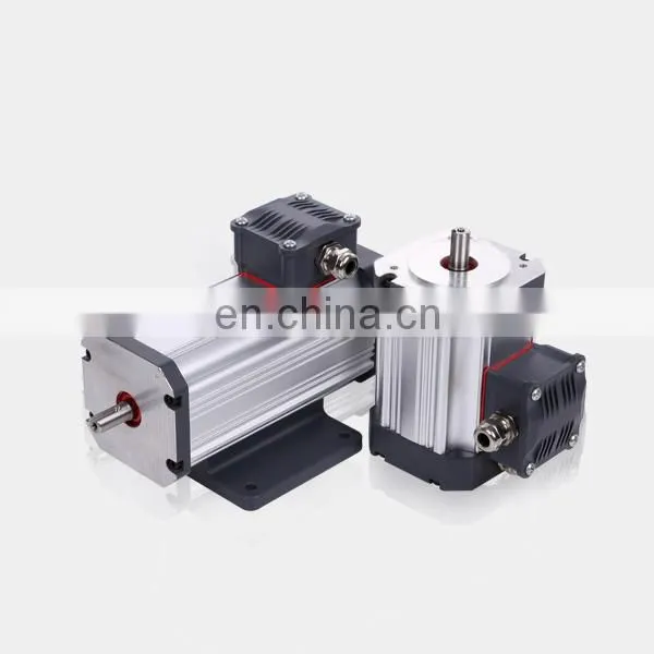 Custom 220v 2000rpm 1500w Electrical Car Brushless dc Motor photo-5