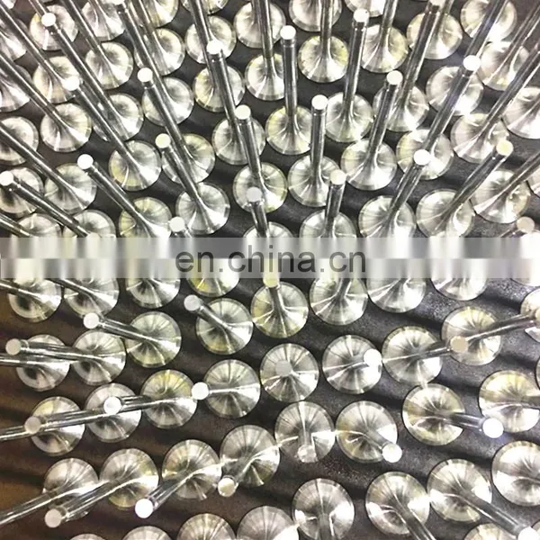 Manufacturing Racing Car Brand New Engine Valves For Renault R 3 r3 4 r4 f4 Rodeo r5 r6 photo-7