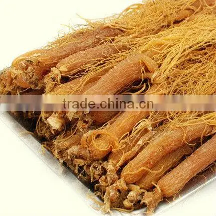 Red Ginseng Root / Panax Ginseng / Ninjin / Insam With Tail Tonic Body photo-2