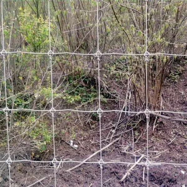 Hot Dipped Galvanized Square Corral Fence Panel for Livestock Horse and Cattle photo-3
