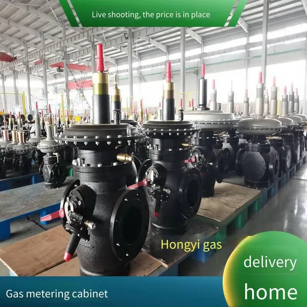 Hongyi Technology Single-metering Gas Pressure Regulating Cabinet, Natural Gas Pressure Regulating Box, Installation and Maintenance, Beautiful Appearance photo-2