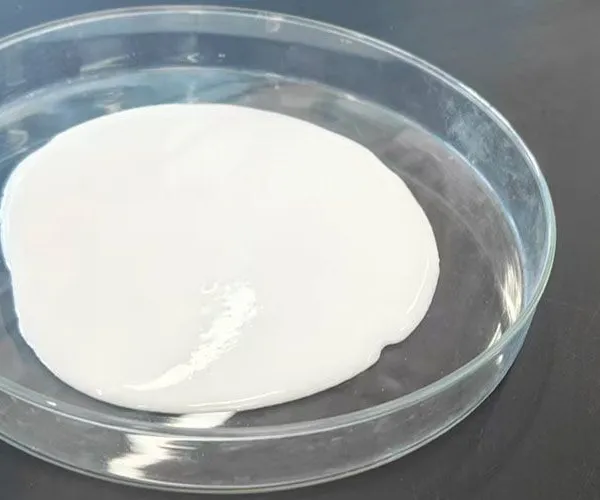 China VAE RDP Powder 24937-78-8 Redispersible Polymer Powder Best Price photo-2