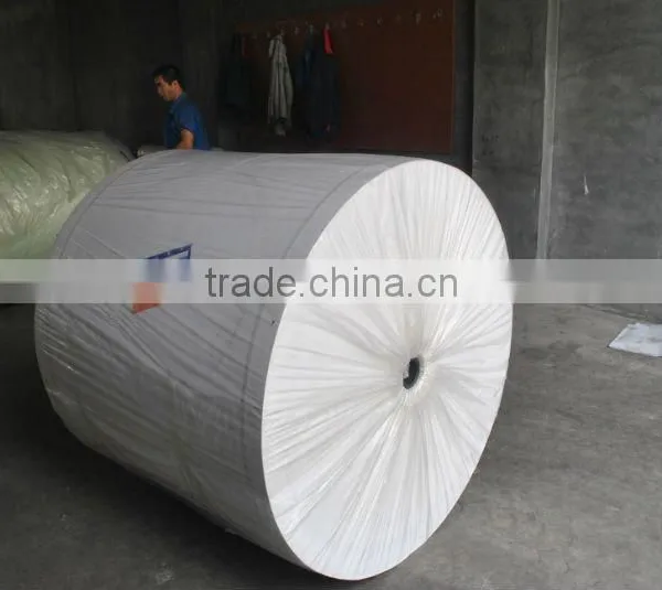 Nonwoven Polyester Fabric in Asphalt Shingles photo-3