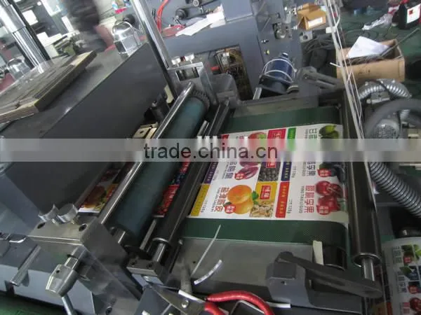 CNC High Speed Label Die-cutting Machine WJMQ-350B photo-5