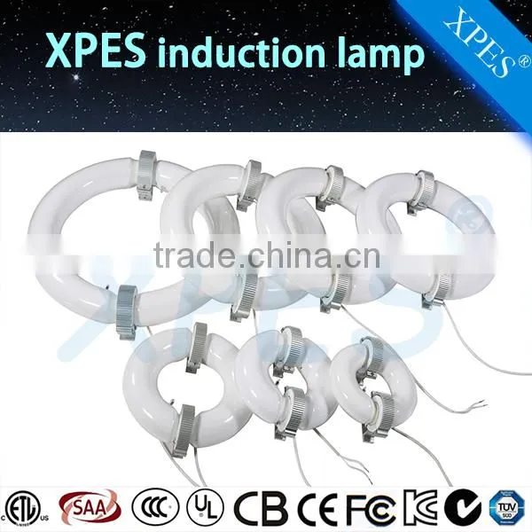 High Efficiency Good Price Induction Lamps From 80watt to 400watt photo-2