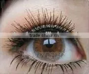 Big Eye Contact Lens Magic Eyewear