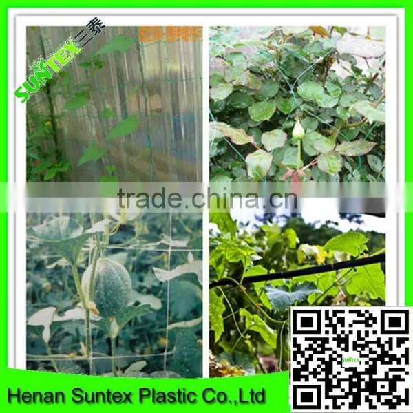Cucumber Trellis Net&hdpe Support Flower Net&extruded Pea and Bean Net photo-4