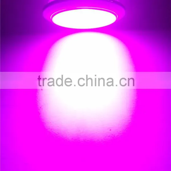 2016 New Products 12W Led Grow Light, photo-3