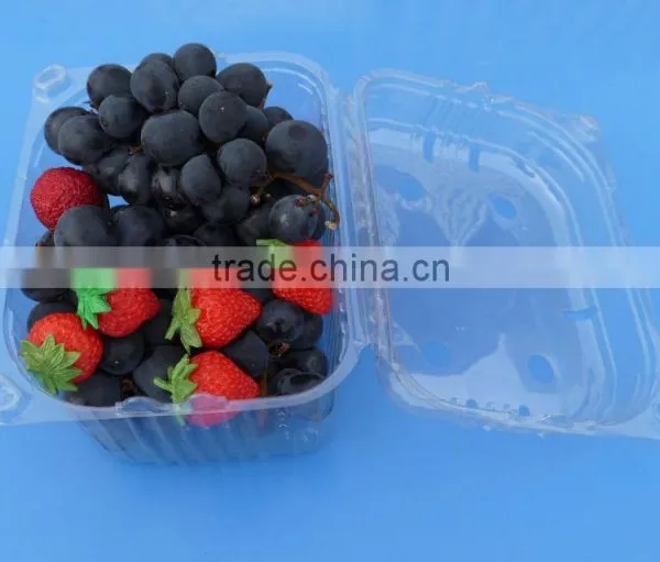 High Quality Disposable Clamshell Blister Plastic Packaging Container Punnet 1500 Gram photo-4