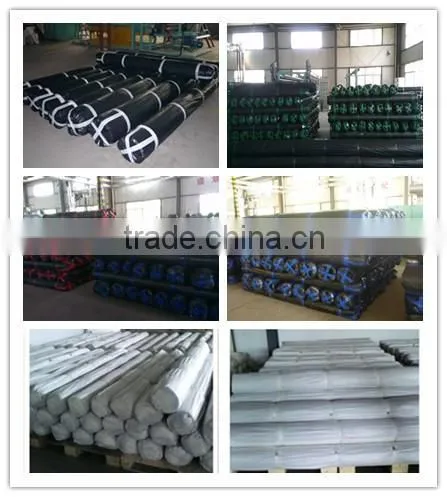 Fiber Glass Geogrid Coated With Bituman photo-5