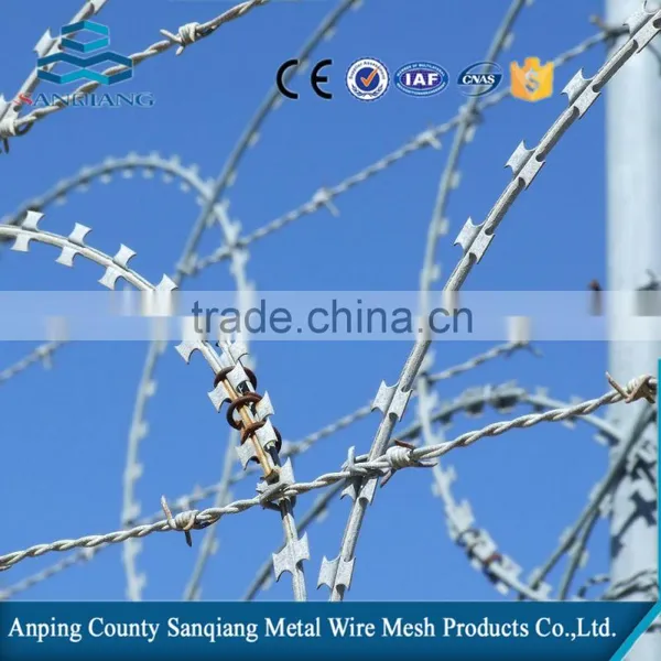 2016 Electro Galvanized and ot Dip Galvanized Barbed Wire photo-4
