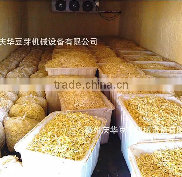 Full-automatic Bean Sprouts Machine(CE) photo-5