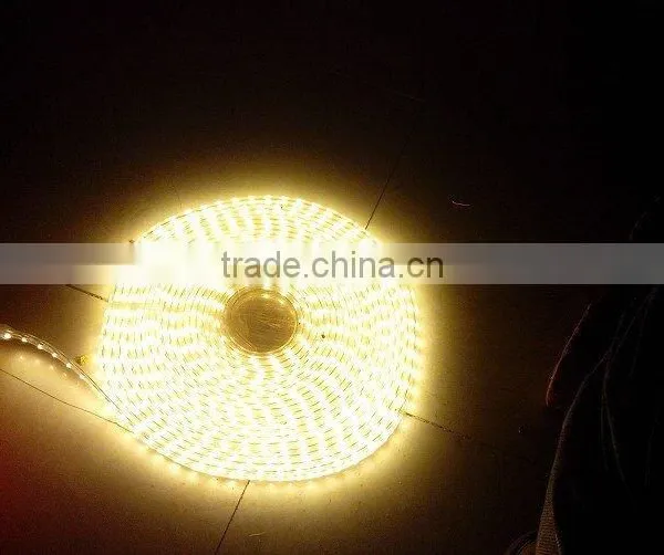 60pcs 120pcs SMD3528 SMD5050 Led LED Strip Light CE ROHS UL photo-3