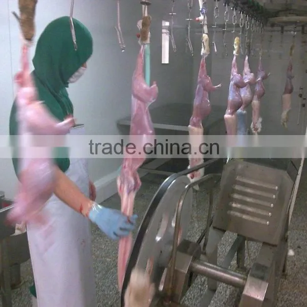 Rabbit Processing Plants photo-2
