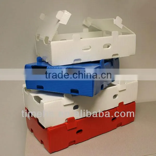 Plastic Fruit Boxes for Shipping