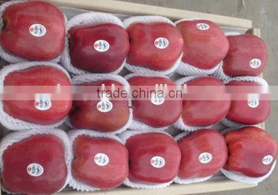 Red Delicious Apple/ Huaniu Apple photo-4