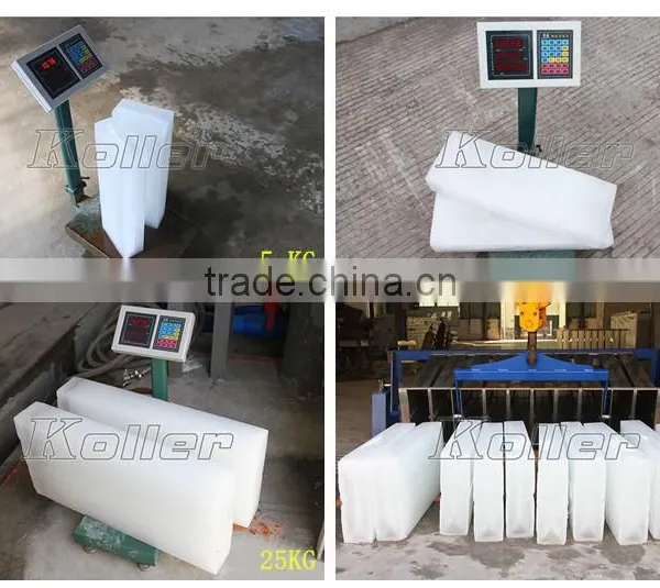 5 Tons Industrail Block Ice Machine Container for Fishery and Fish Industry photo-6