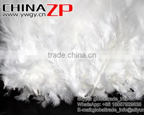 Leading Supplier CHINAZP Bulk Sale Good Quality Beautiful Bleached White Chicken Rooster Saddle Feathers photo-5