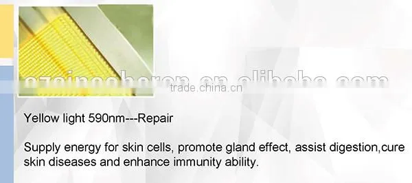 Acne Removal LED Light Photo Led Light Therapy For Skin Therapy PDT Machine Skin Rejuvenation photo-5