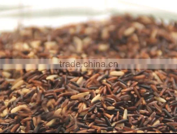 Thai Organic Rice