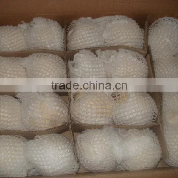 New Crop of Fresh ya Pear for Bulk Purchase photo-2