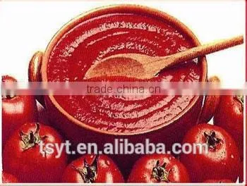 One of Biggest of Manufacture 28-30% Canned Easy Open Lid Hard Open Tin Tomato Paste photo-4