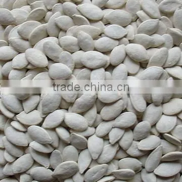 Dried Pumpkin Seeds