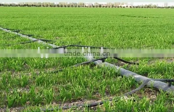 Drip Irrigaiton Pipes photo-5