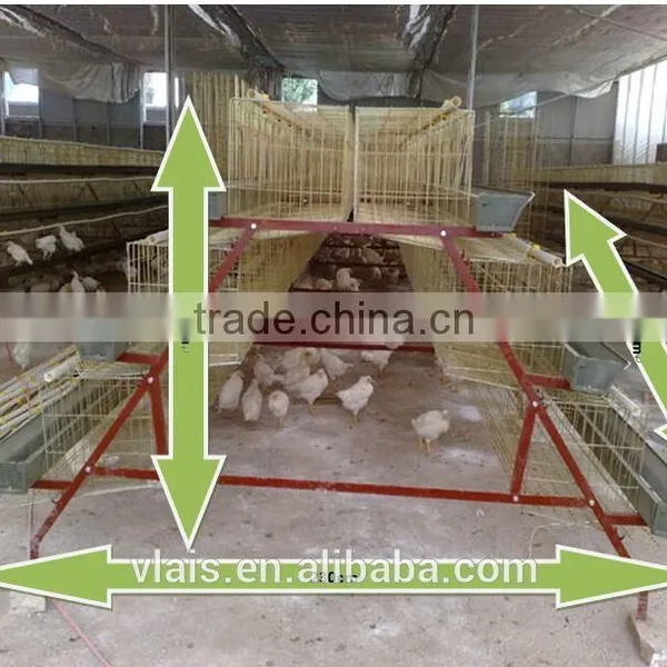 Chicken Adult Cage on Sale. photo-4