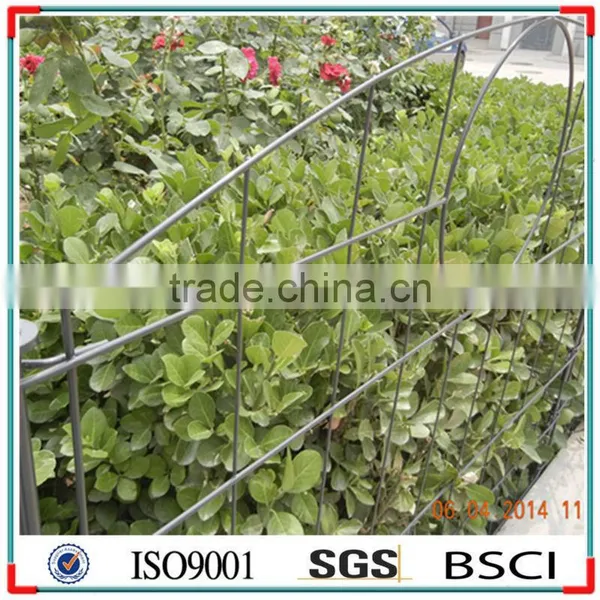 Pond Fence ---- Element Upper Arch. photo-3