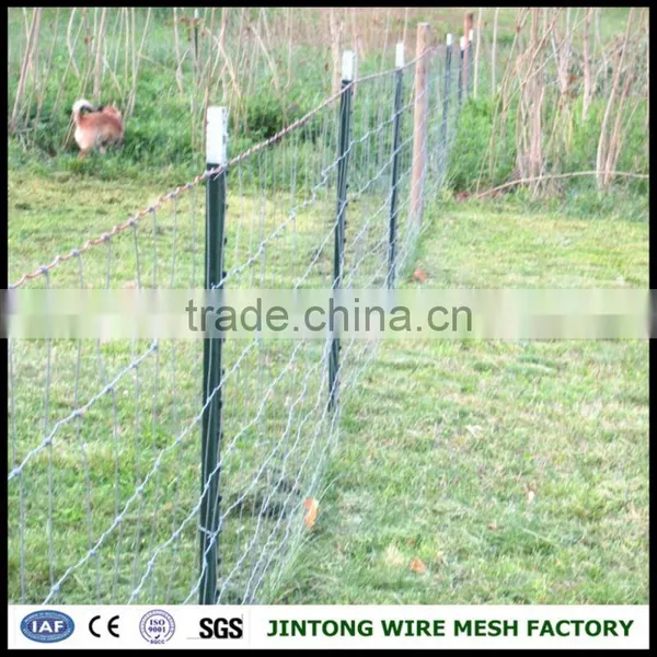 Fence Mesh Chicken Wire Mesh Electric Fence Pvc Cattle Fences photo-6