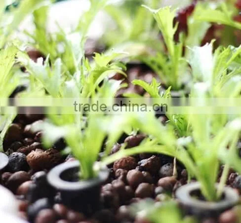 Expanded Clay Soil For Roof Garden,lightweight Expanded Clay Aggregate photo-6